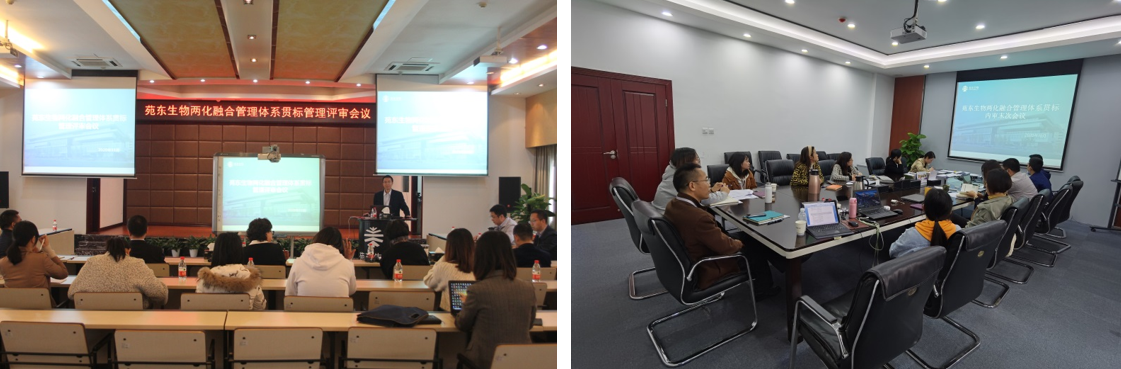 1617327502271101.png 未命名1617327485.png